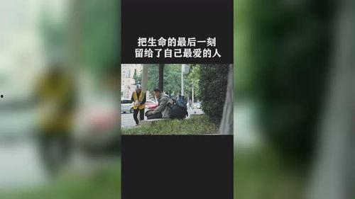 最后的爱人,最后的爱人生涯篇章